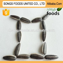 Foods Sunflower Seeds New Crop